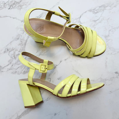 Maryam Nassir Zadeh Palma (Sz 38)