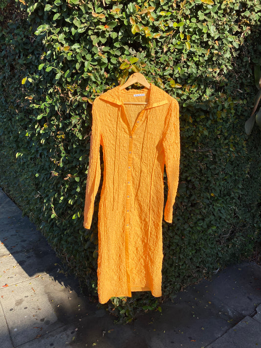 Acne Studios Seersucker Apricot Dress (M)