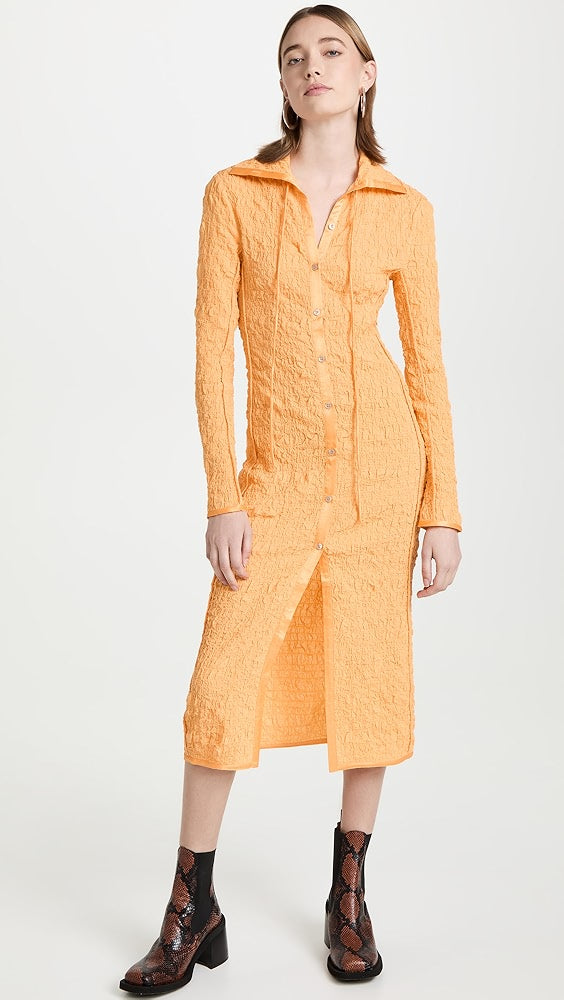 Acne Studios Seersucker Apricot Dress (M)